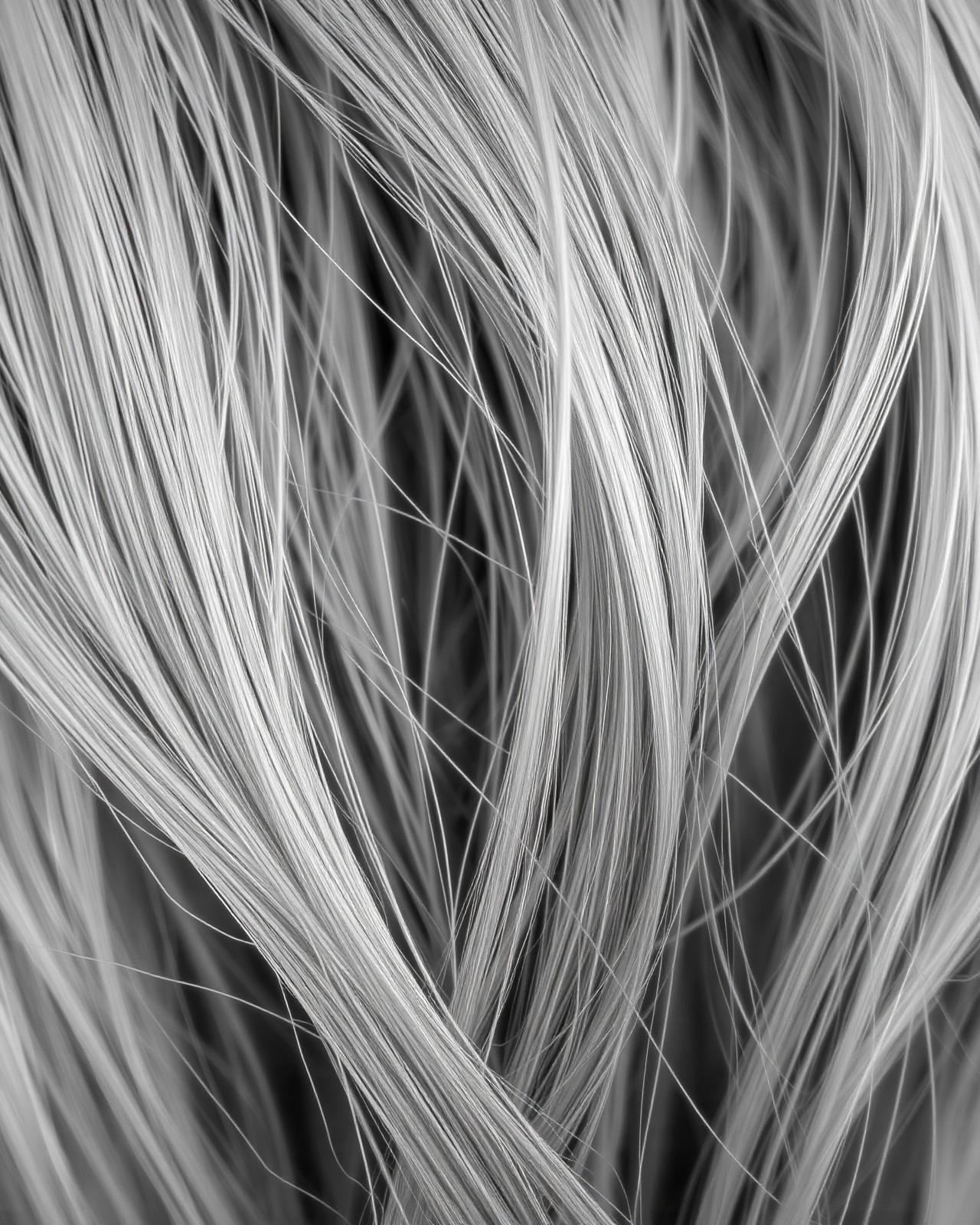 Balayage – Detail